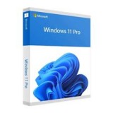 Windows 11 Pro 64 Bit